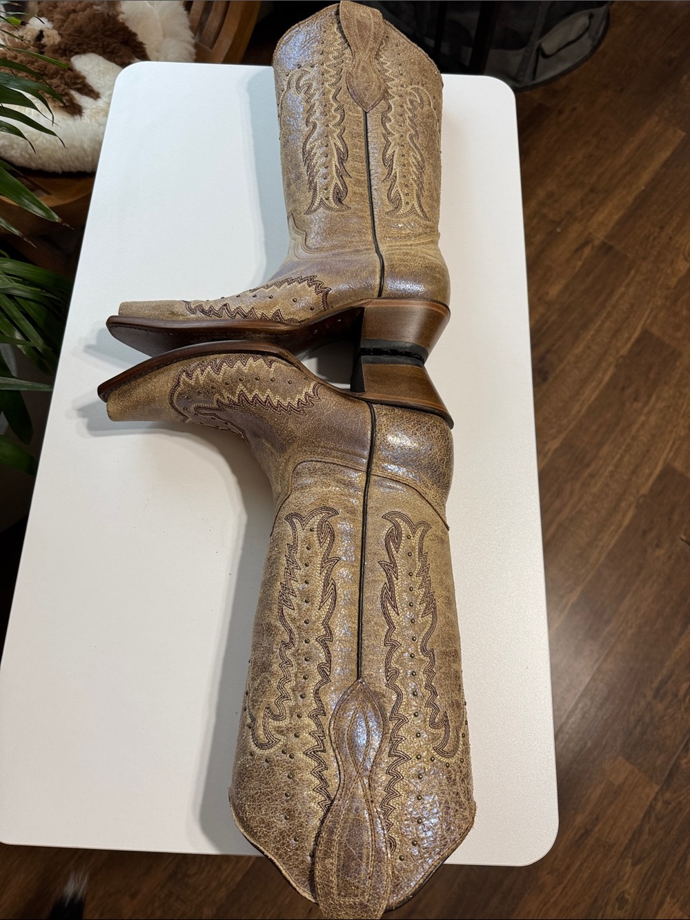 Circle G Distressed Tan Western Embroidered Cowboy Boots Made in Mexico - Picture 4 of 14